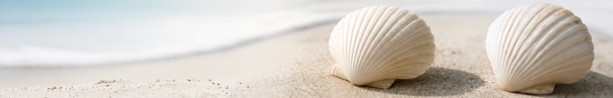 Shell on sand